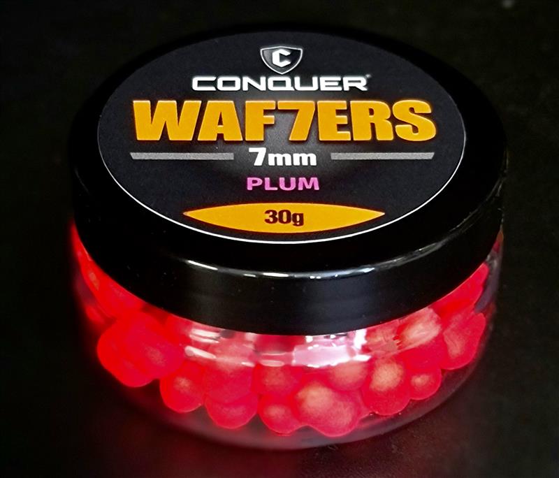 CONQUER WAFTERS 7mm PLUM