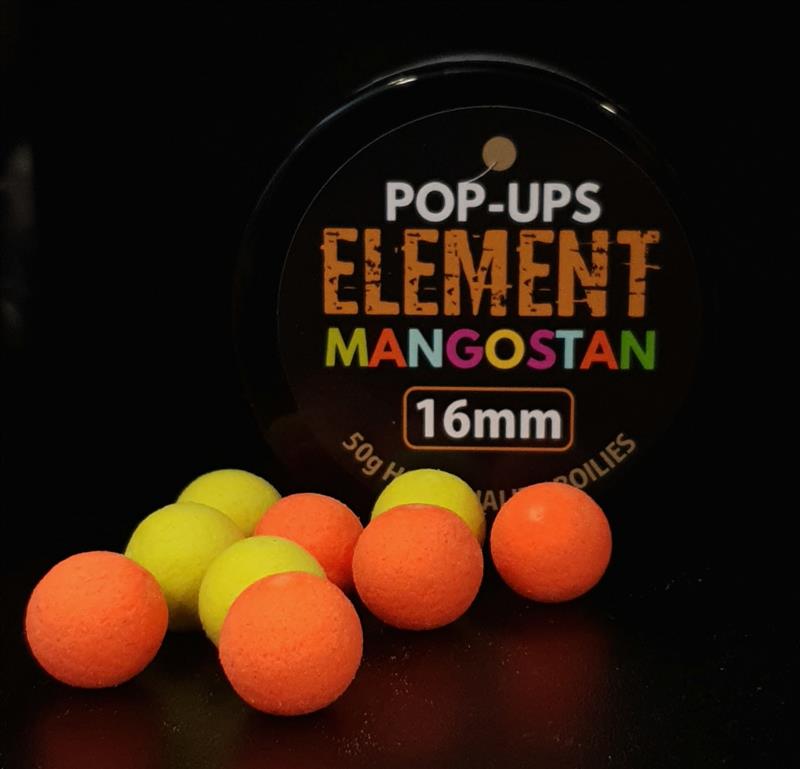 CONQUER ELEMENT POP UP 12mm 30g MANGOSTAN